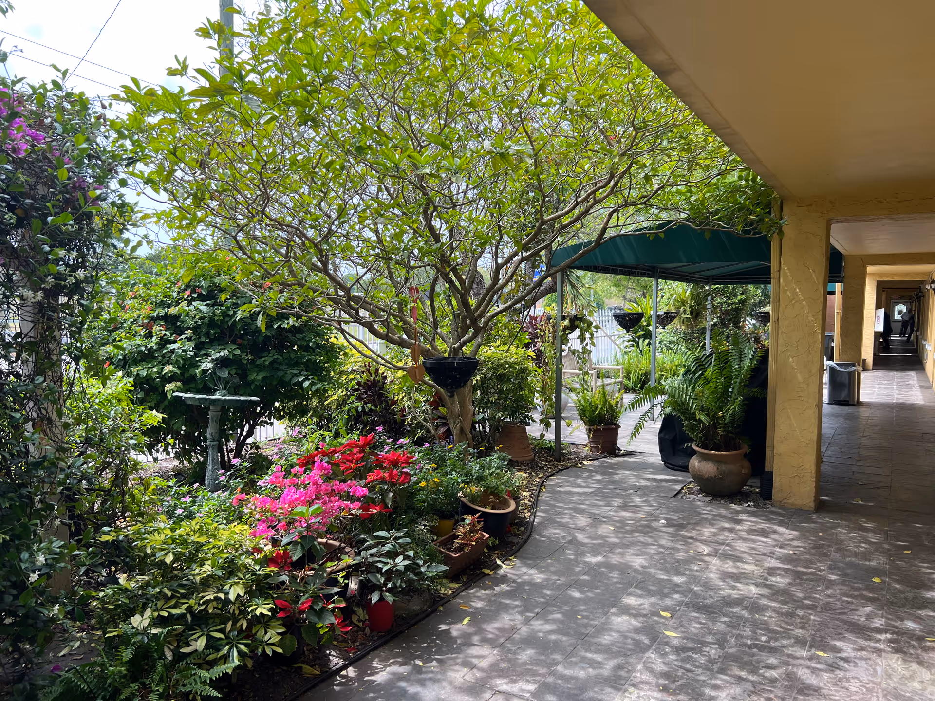 Outdoor courtyard of a senior living facility with trees, potted plants, and a covered walkway.