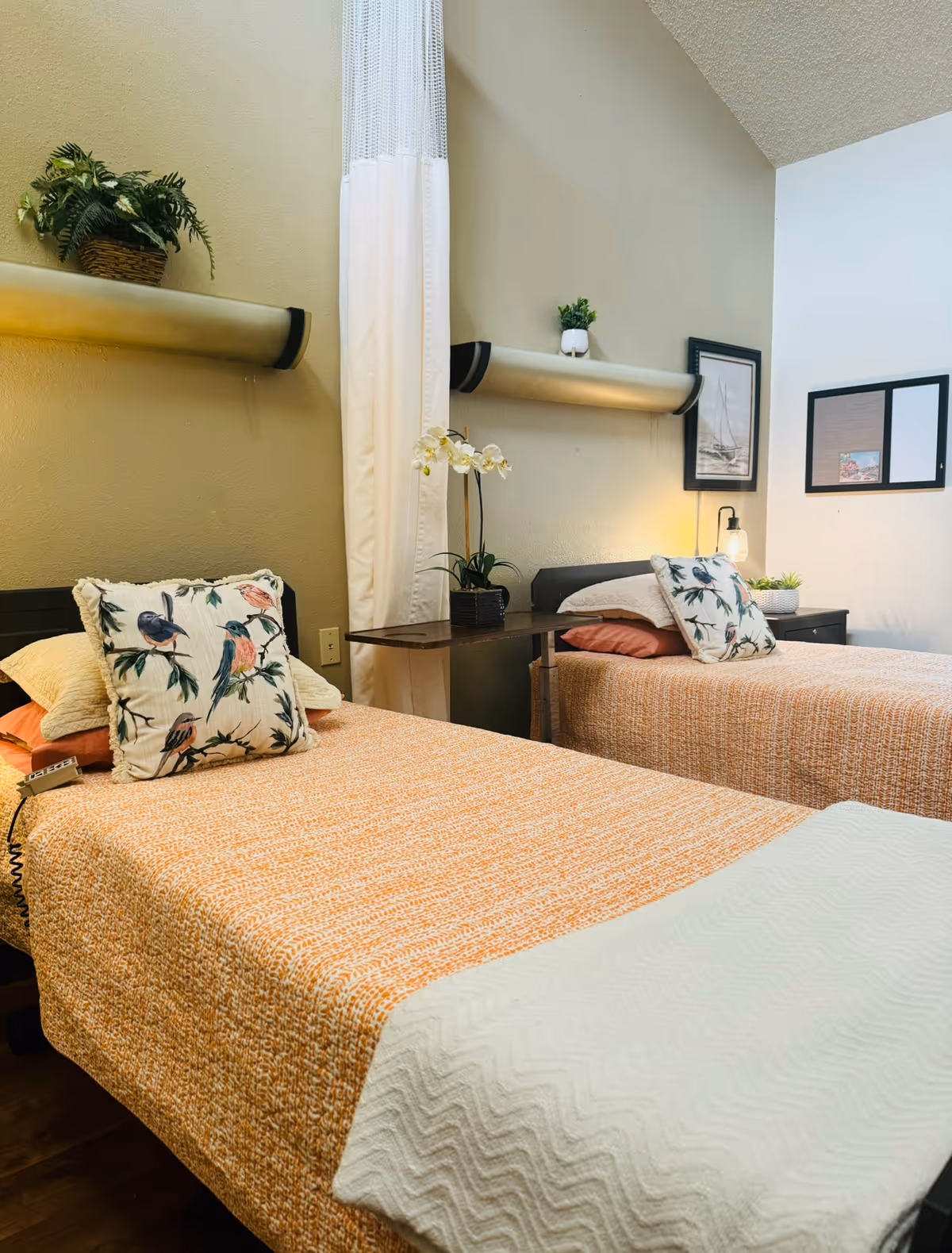 Two twin beds in a bright shared bedroom with plants, pillows, and a curtain divider.