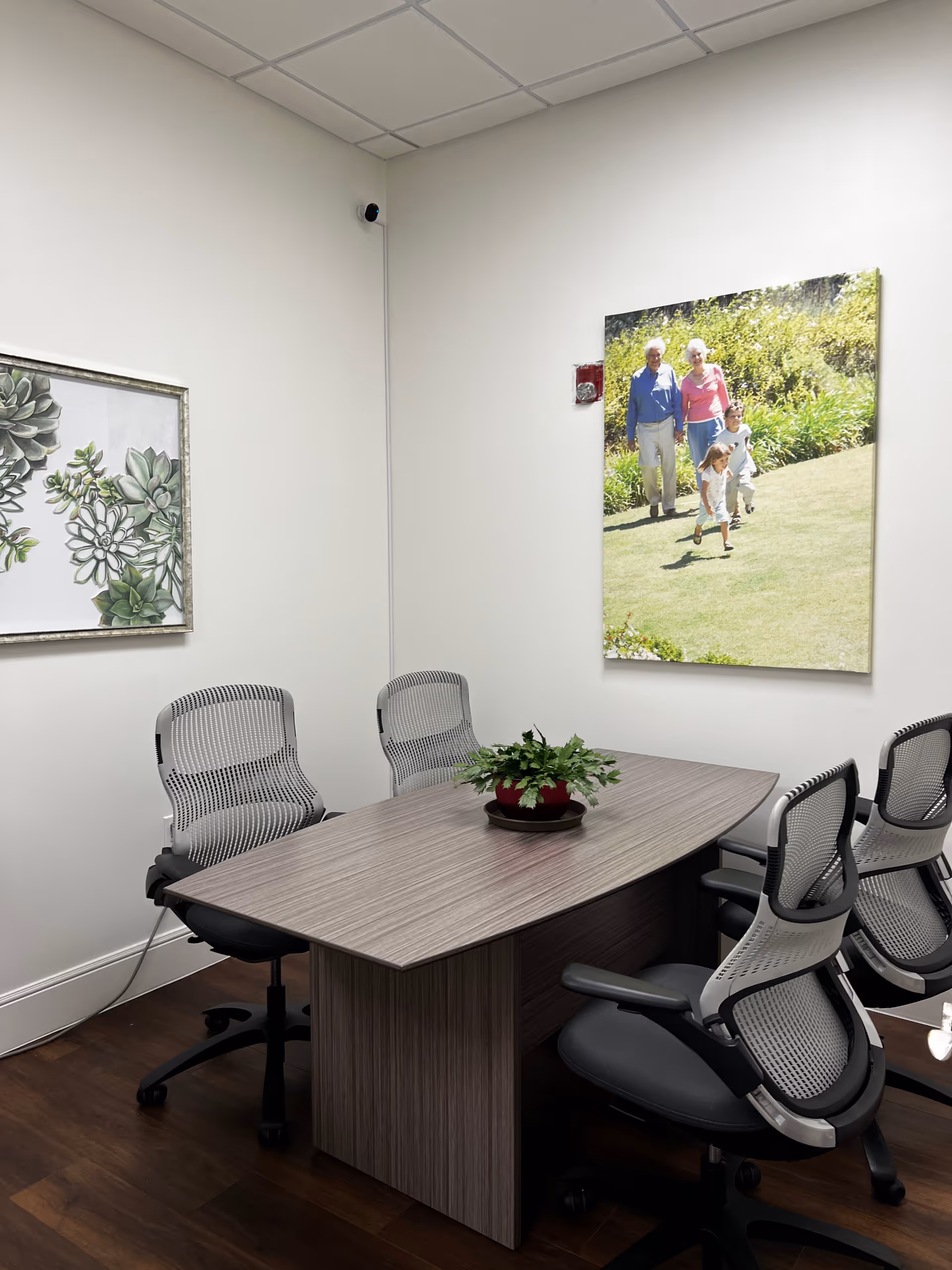 A small conference room with a rectangular table, office chairs, a plant centerpiece, and wall art.