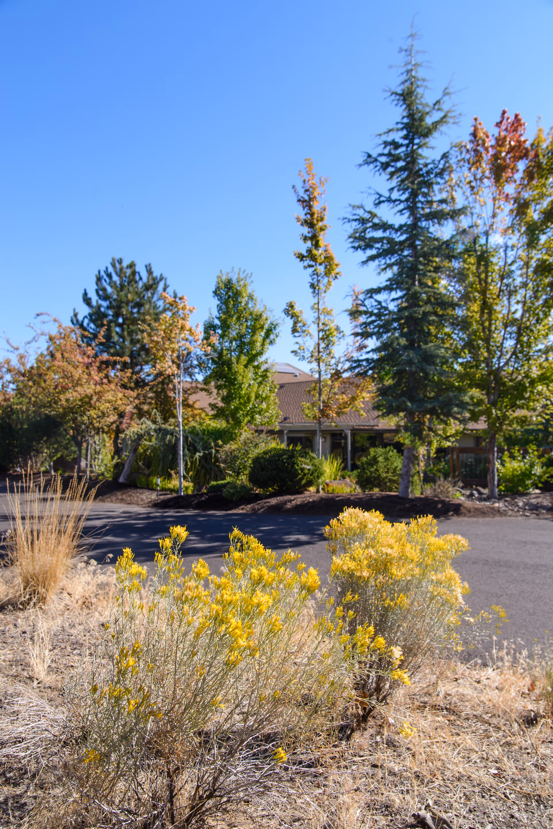 Exterior view of Partners In Care facility with trees, shrubs, and a parking area.