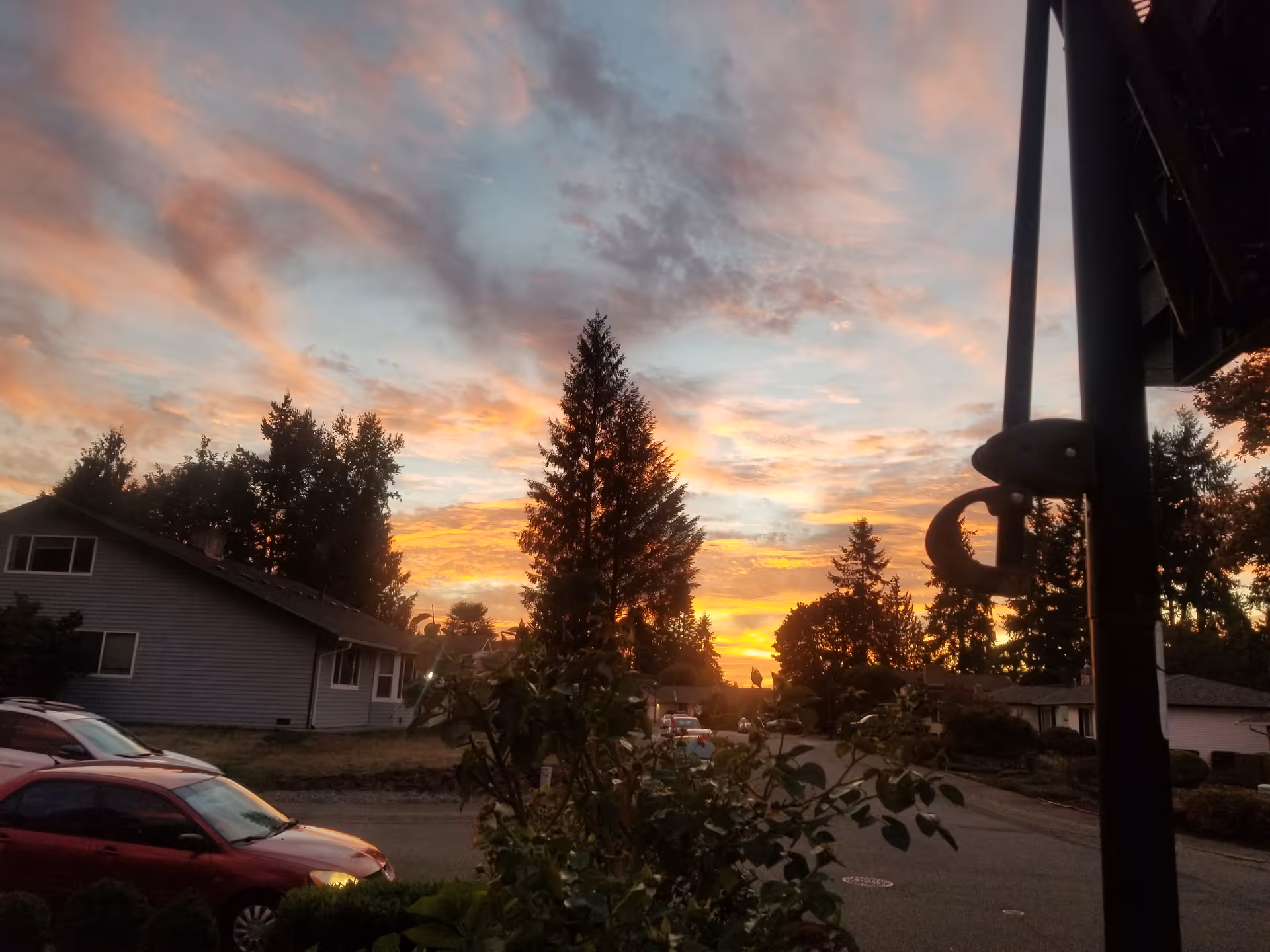 Sunset sky over a residential street with trees and parked cars