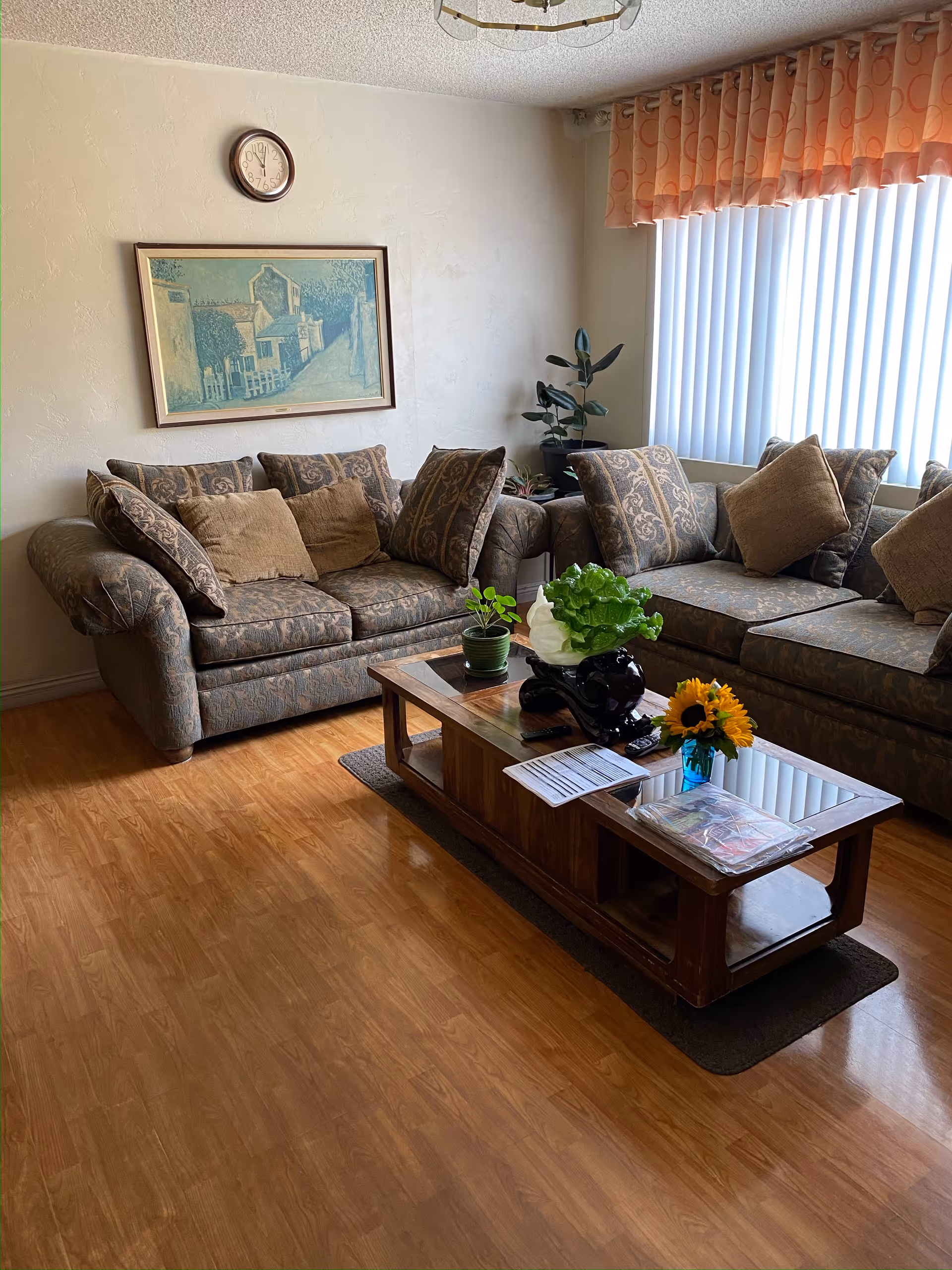 Cozy living room with a sectional sofa, coffee table, plants, and large windows with blinds.