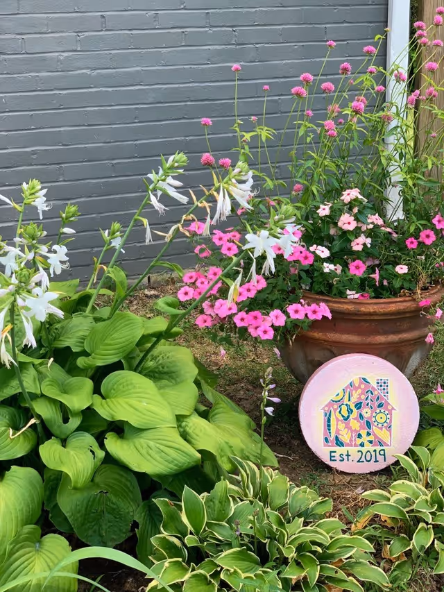 Pink and white flowering plants and lush green hostas in a garden bed and pot against a gray brick wall with a round painted "Est. 2019" sign.