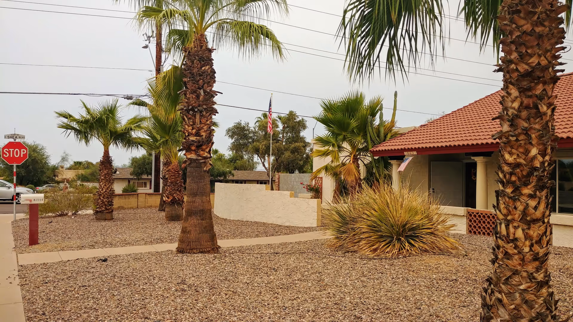 Palm trees and desert landscaping surround a single-story assisted living center facade.