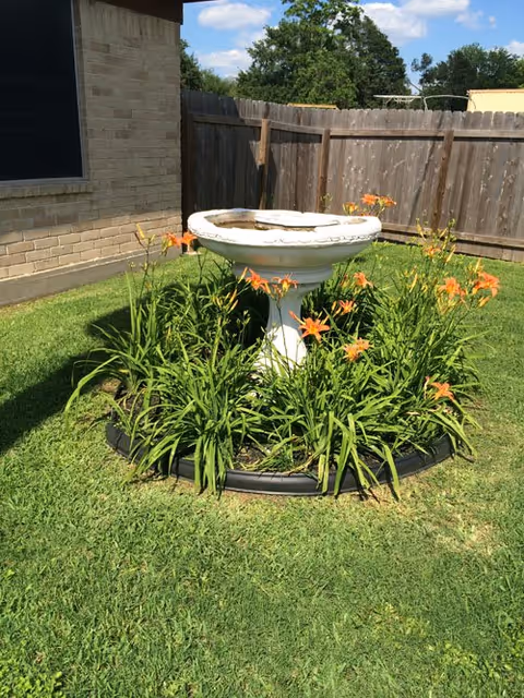 White birdbath surrounded by orange daylilies in a circular garden bed near brick wall.