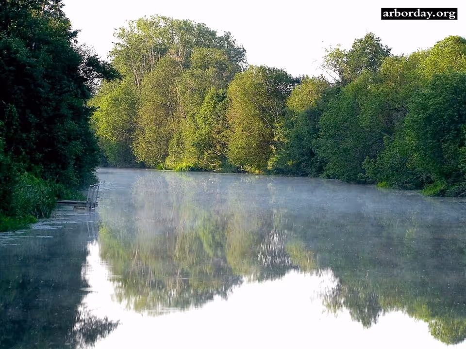 Misty river scene bordered by dense green trees and reflections on calm water.