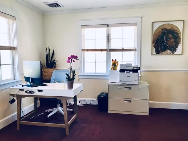 Bright home office corner with a desk, computer, printer, plants, and a filing cabinet.