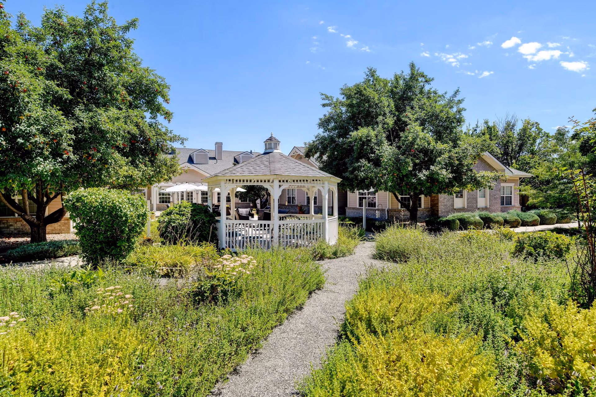 A bright outdoor garden area at Juniper Village at Louisville featuring a white gazebo surrounded by lush greenery, flowering plants, and trees under a clear blue sky. The building of the facility is visible in the background.