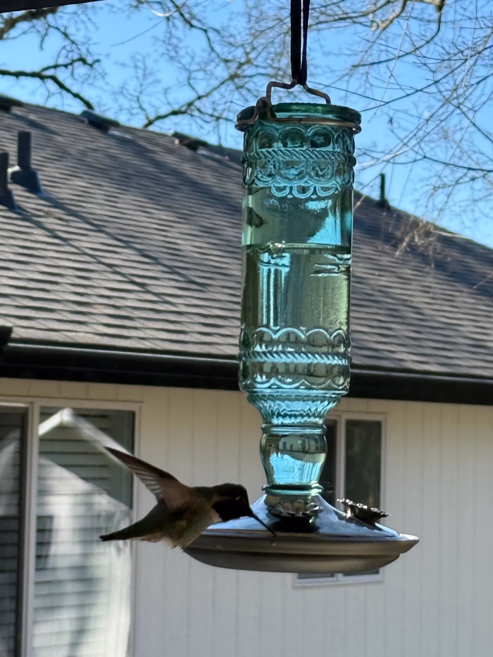 Hanging glass hummingbird feeder outside a house with a bird nearby.