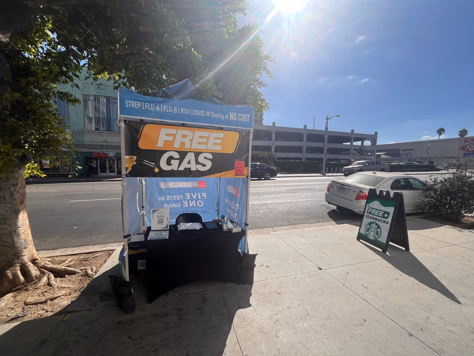 Sidewalk promotional tent advertising free gas with a bright sign beside a Starbucks board