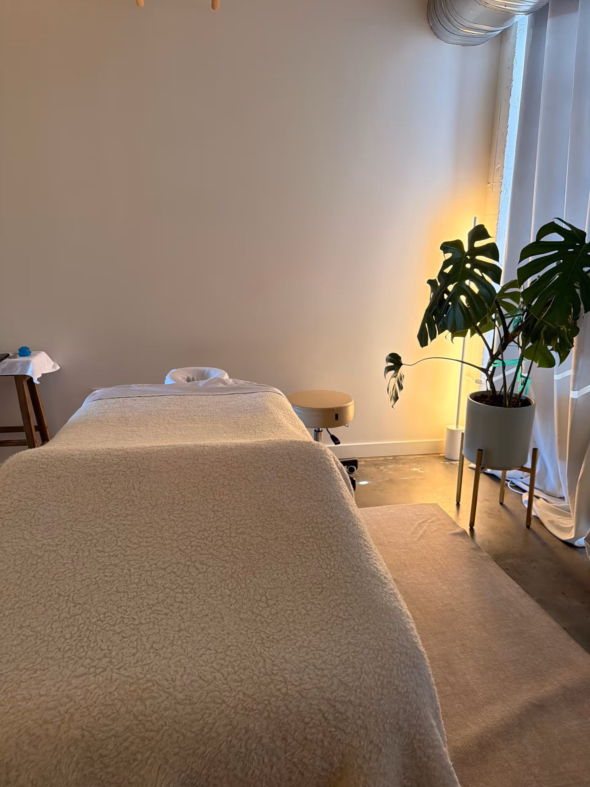 A massage table in a serene, softly lit treatment room with a large plant.