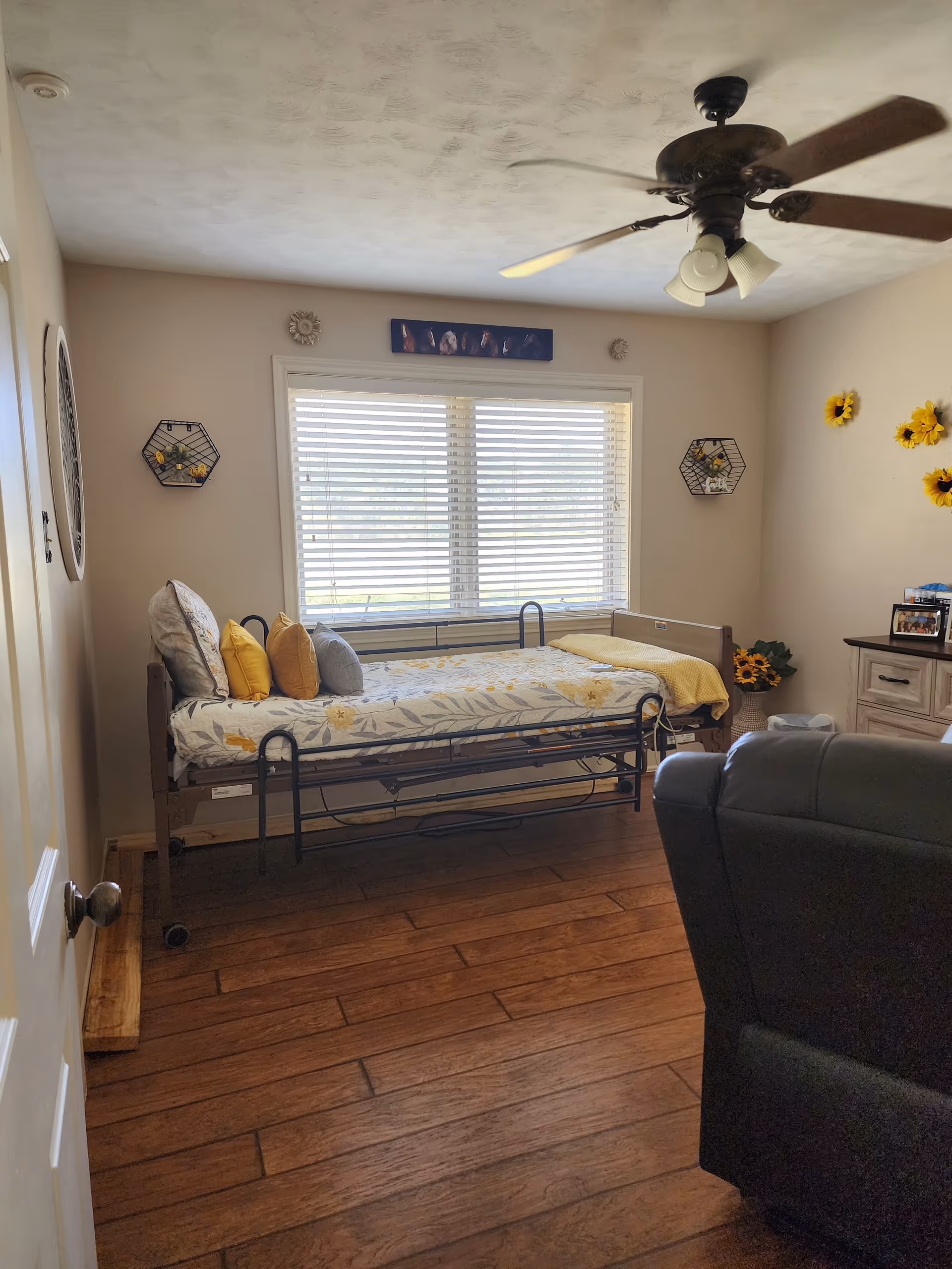 Sunny bedroom with a metal-frame bed, wooden floor, ceiling fan, and window blinds.
