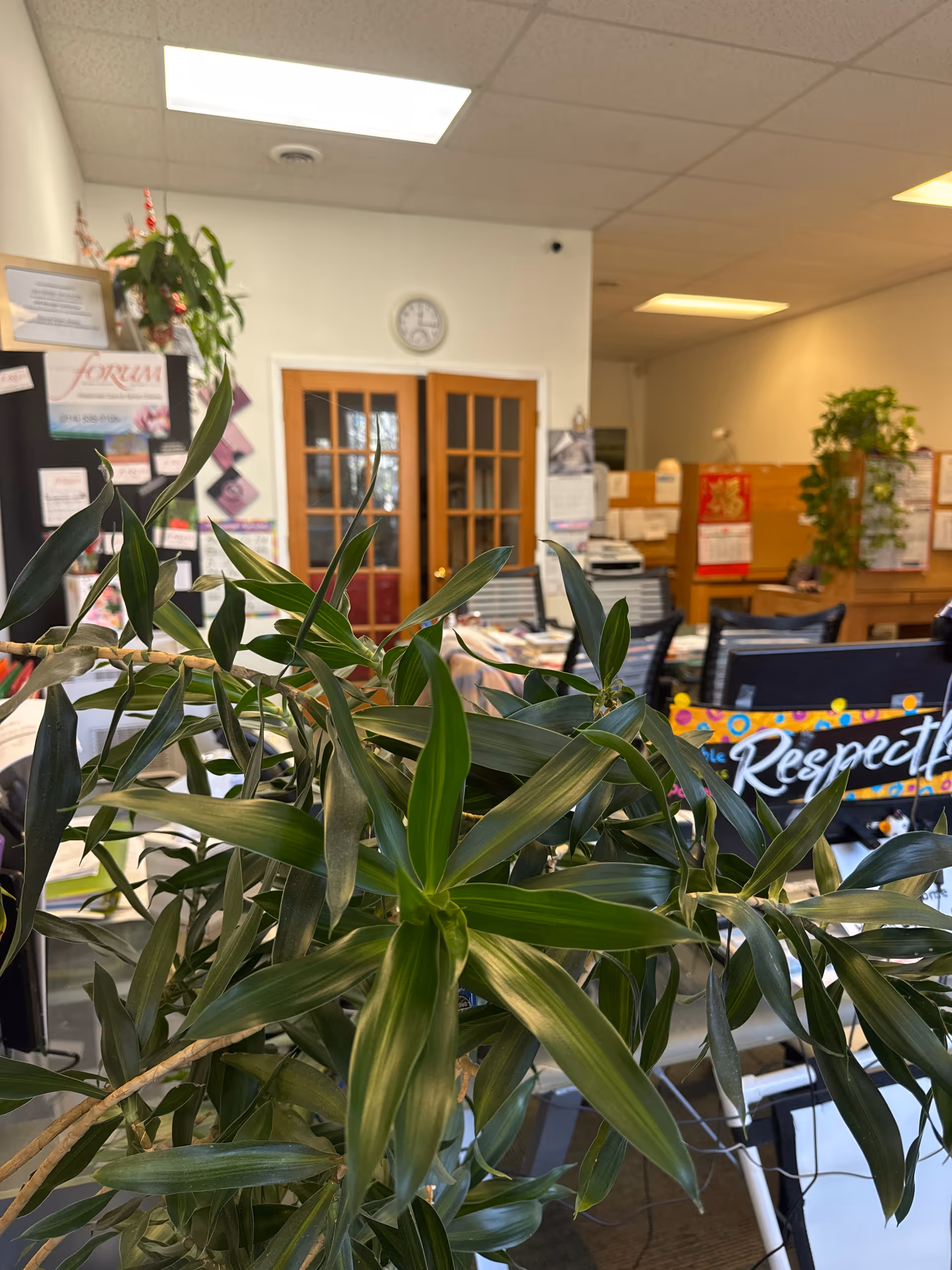 Indoor office reception area with plants, bulletin boards, desks, and double wooden doors.