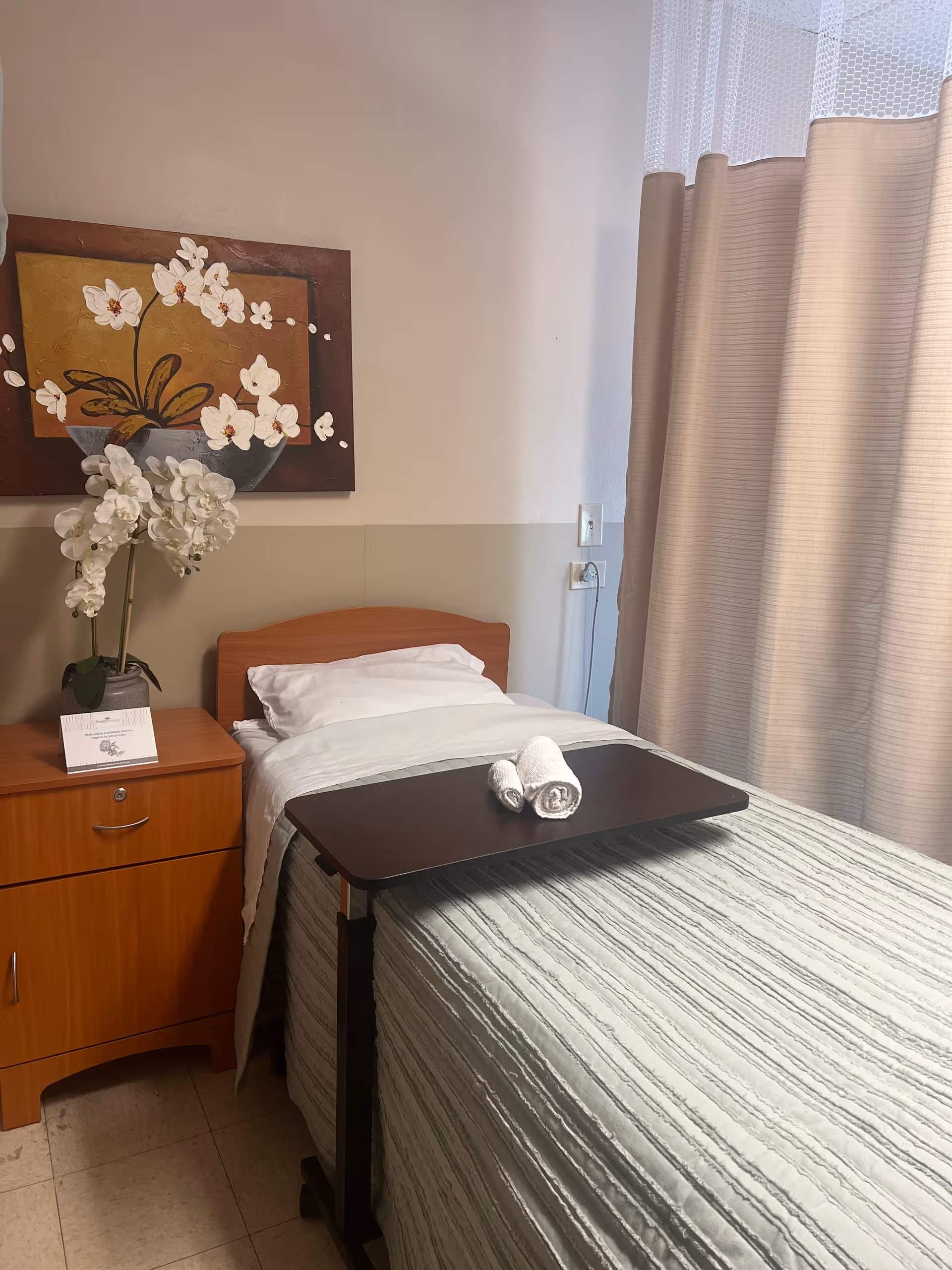 A single hospital-style bedroom with a bed, nightstand, artwork, curtains, and a potted plant.