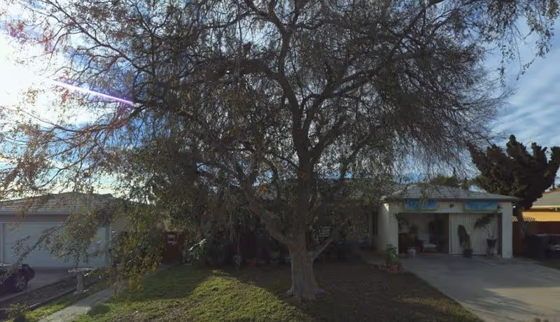 Exterior view of a small building with a large tree and driveway.