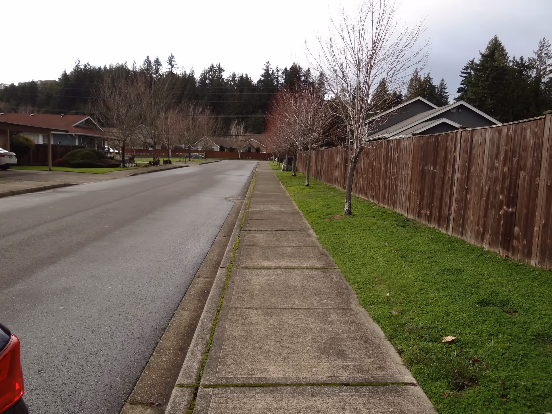 A quiet residential street with sidewalks, bare trees, and a wooden fence.