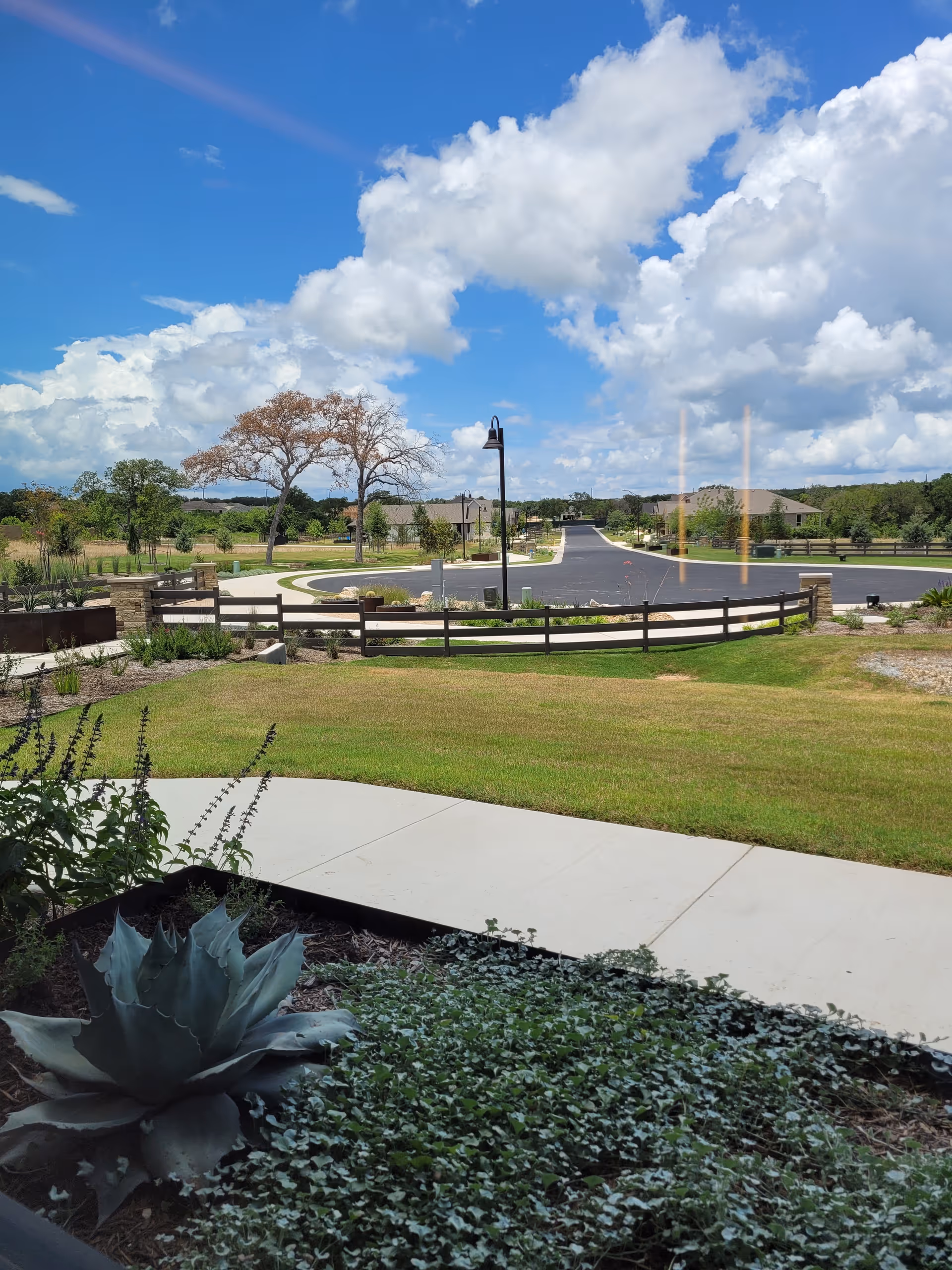 Sun City Texas outdoor scene with sidewalk, lawn, wooden fence, and distant residential buildings.