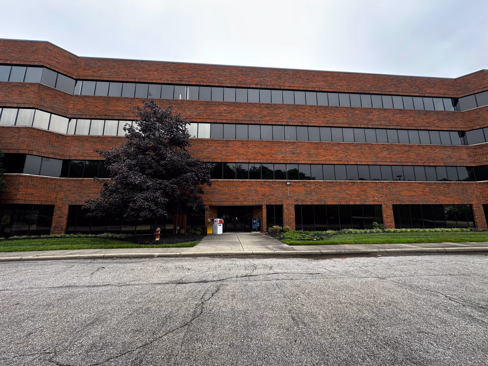 Brick, multi-story building with large windows and a tree near the entrance.