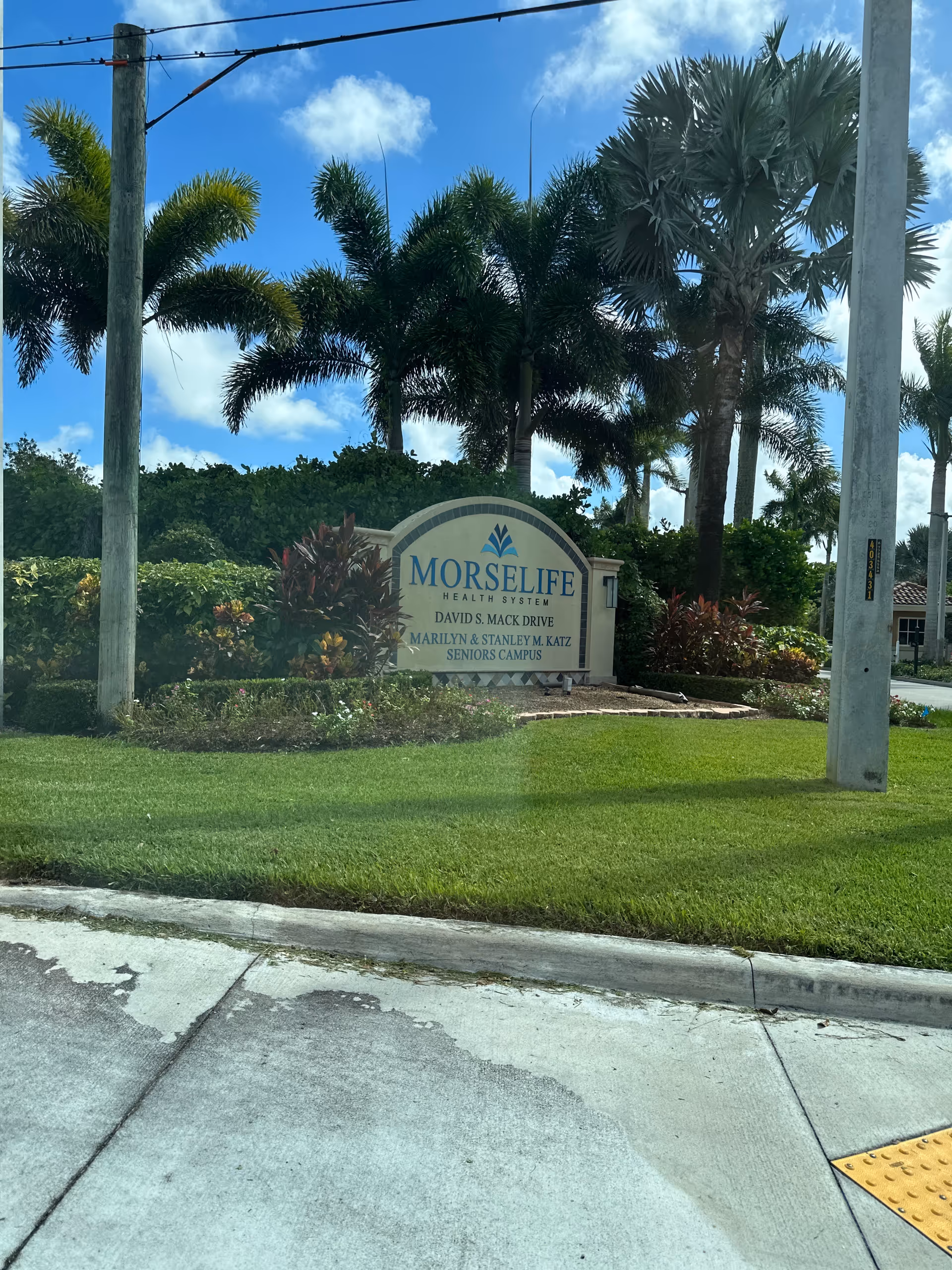 MorseLife Health System sign amid palm trees and manicured landscaping outdoors.