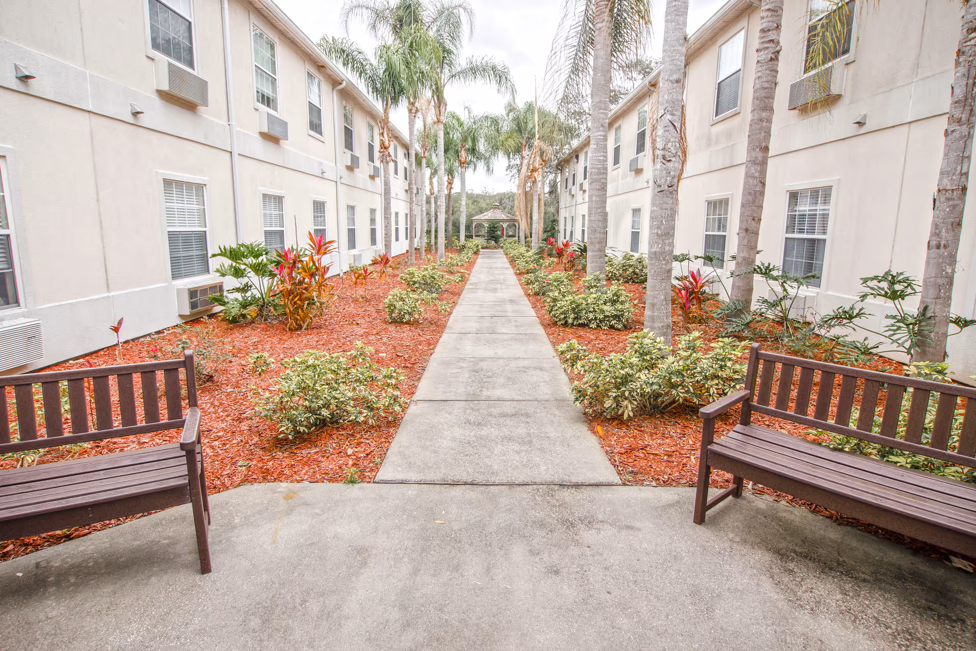 Outdoor courtyard with a central walkway, benches, palm trees, and shrubs between buildings.