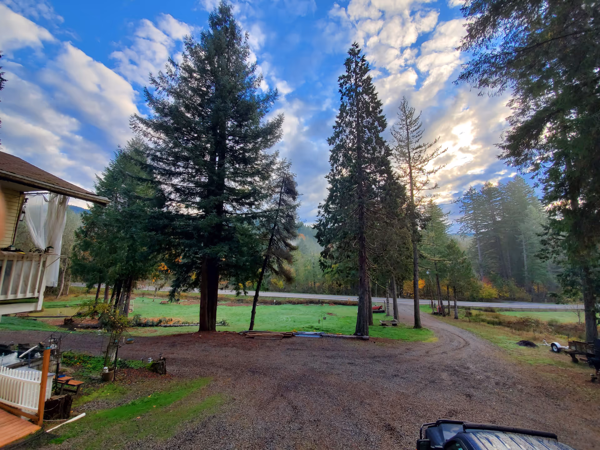 Forested yard with tall pines, a gravel path, and a porch on the left.