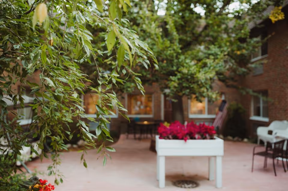 Brick courtyard with a white planter of red flowers, patio chairs, and overhanging tree branches in front of a building.