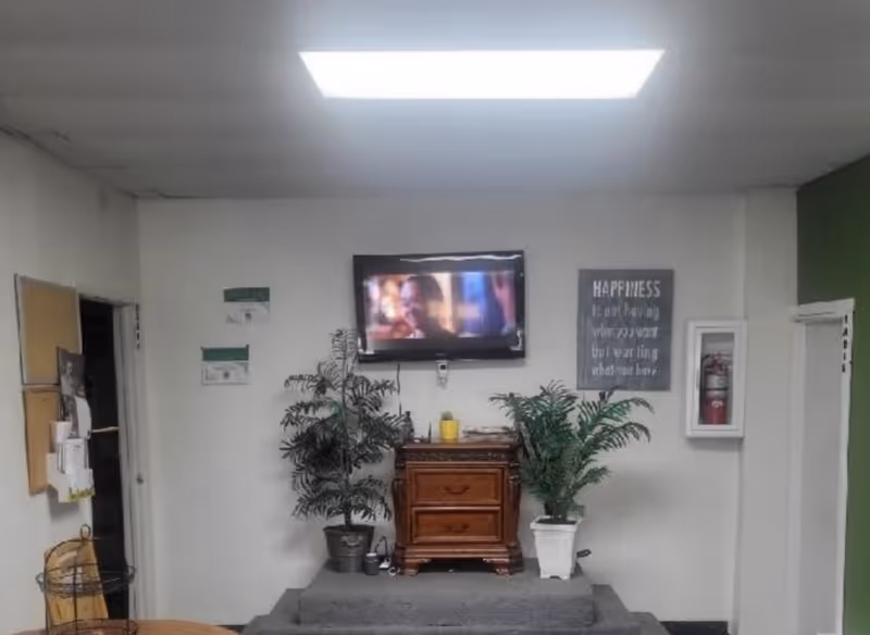 TV mounted above a wooden cabinet between two potted plants in a lounge