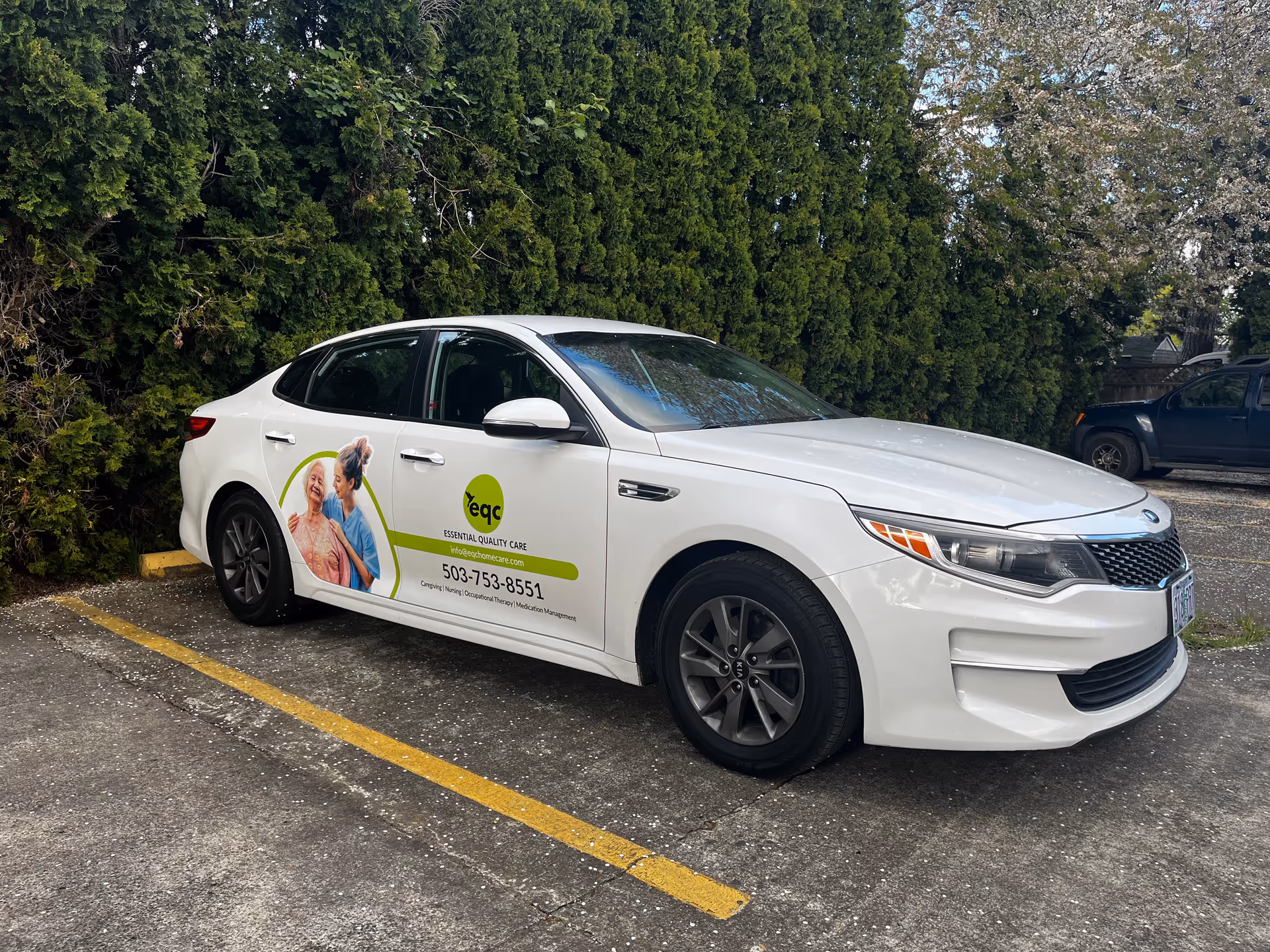 A white EQC Home Care Agency car parked in a lot beside tall hedges.