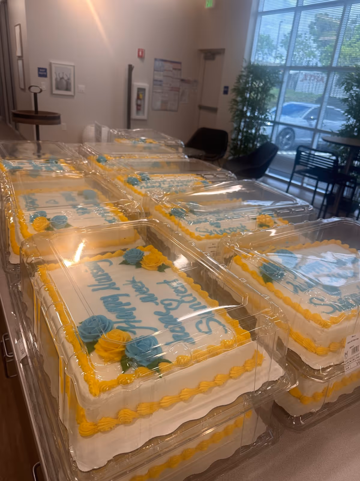 Row of decorated cakes in clear containers on a table inside a sunlit facility lobby.