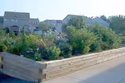 Exterior view of Wingler House with raised wooden planters and greenery.