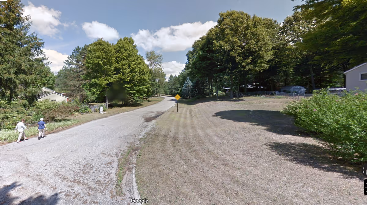 Two elderly individuals walk along a tree-lined rural road near a residence.