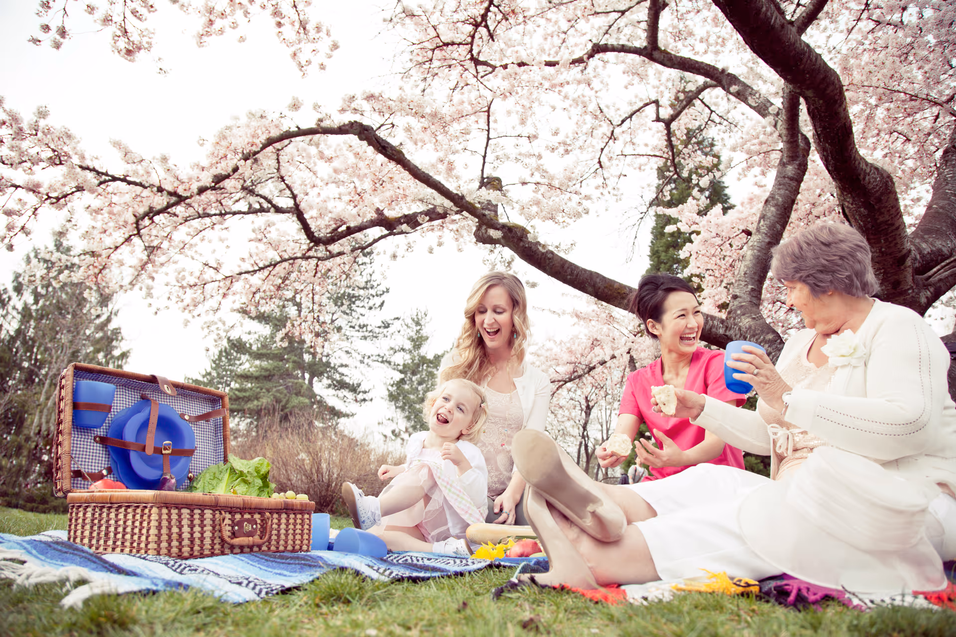 Group of people picnicking on a blanket beneath blooming trees in a sunny park.