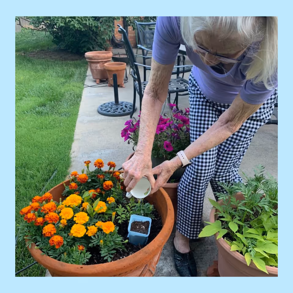 An elderly resident waters flowering plants on a sunny outdoor patio.