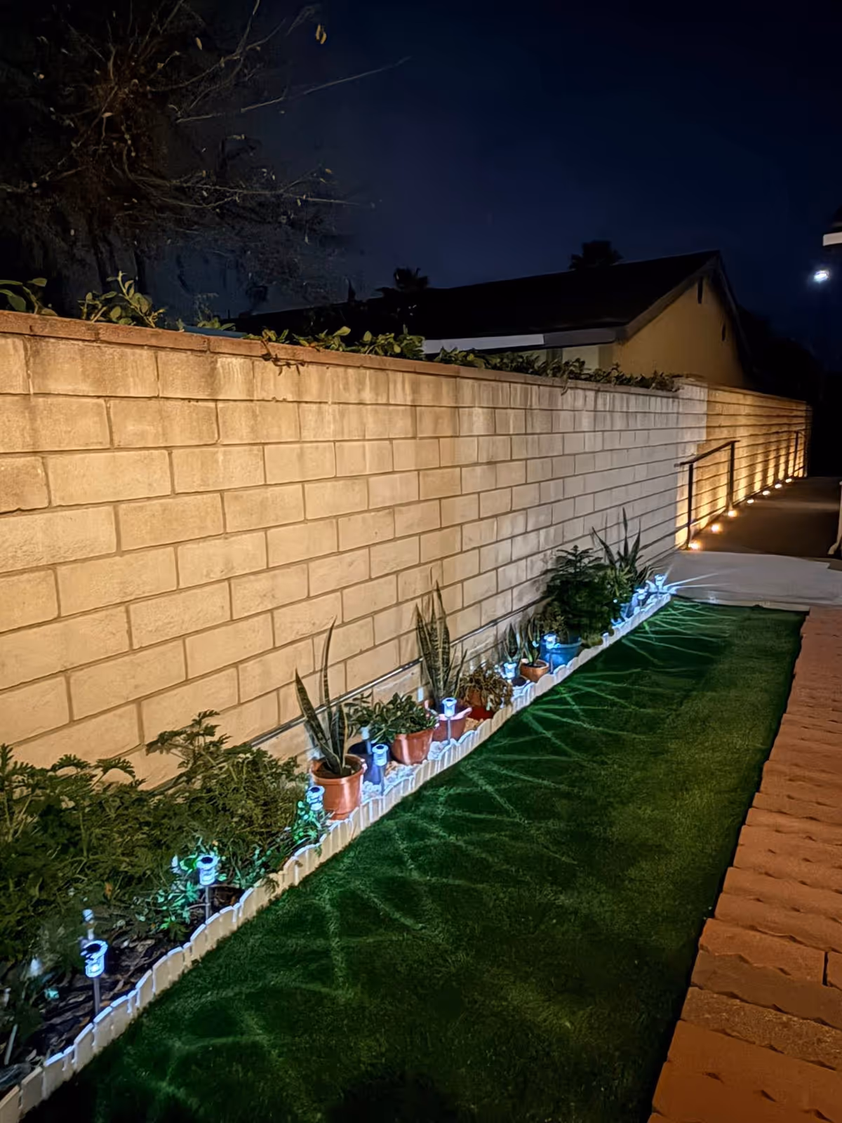 Nighttime outdoor walkway beside a brick wall, lined with potted plants and low lights.