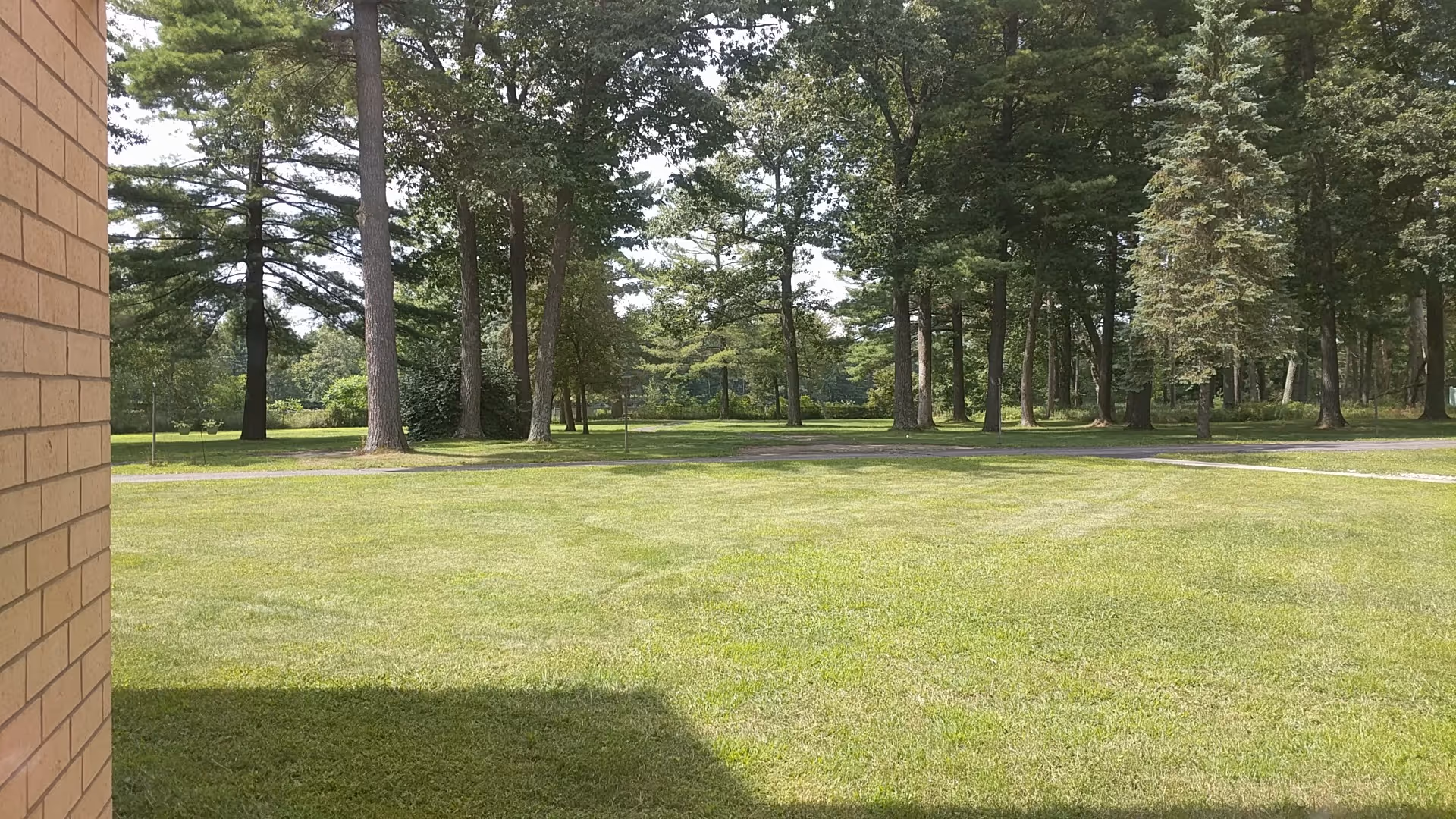 Outdoor grassy area with trees beside a brick building at Point Manor Assisted Living
