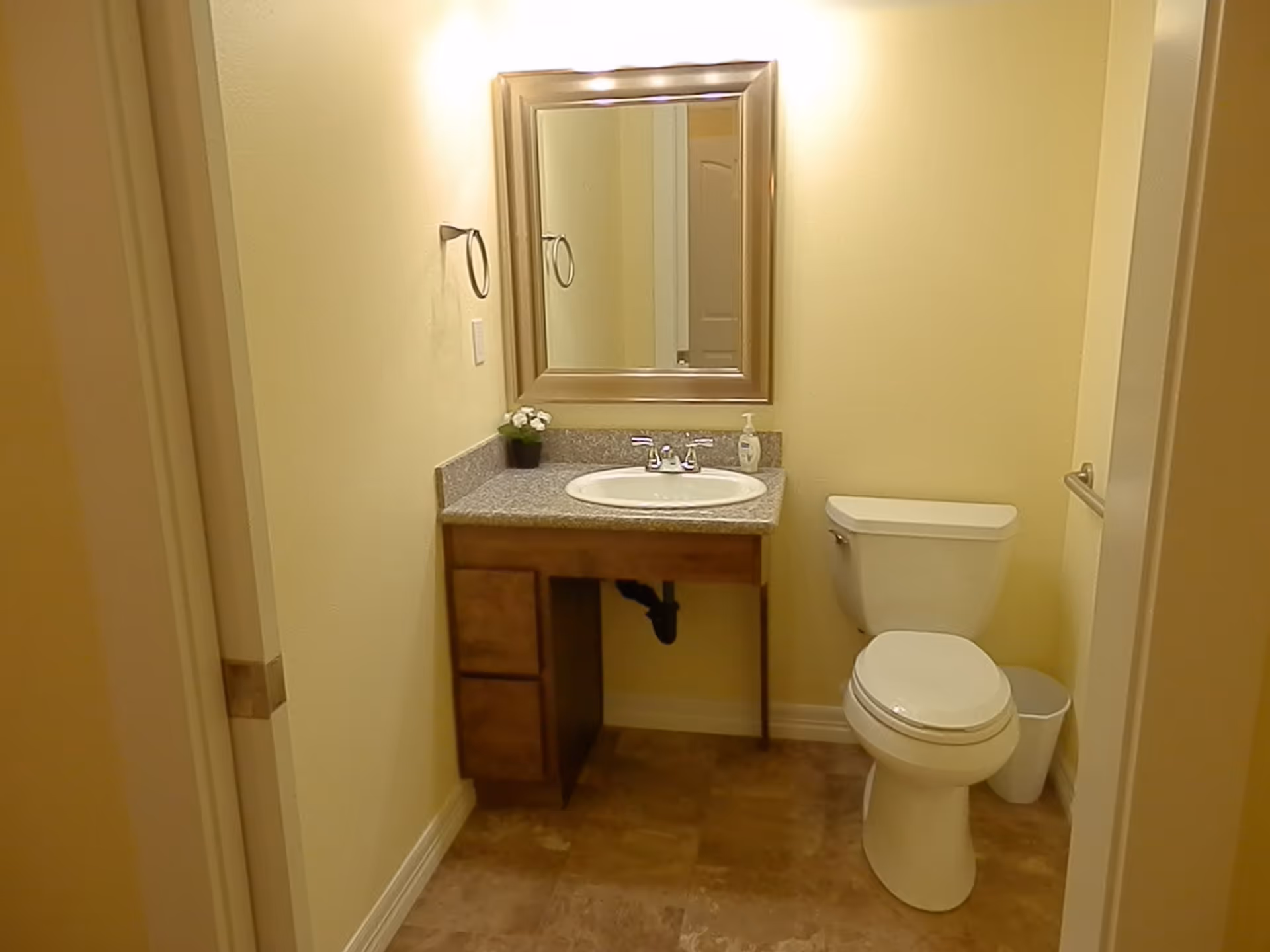 A small bathroom with a toilet and a vanity with a sink. The vanity has a granite countertop, a small potted plant, and a soap dispenser. Above the vanity is a large framed mirror. The walls are painted light yellow, and the floor has brown tiles. There is a towel ring on the left wall and a grab bar on the right wall near the toilet.
