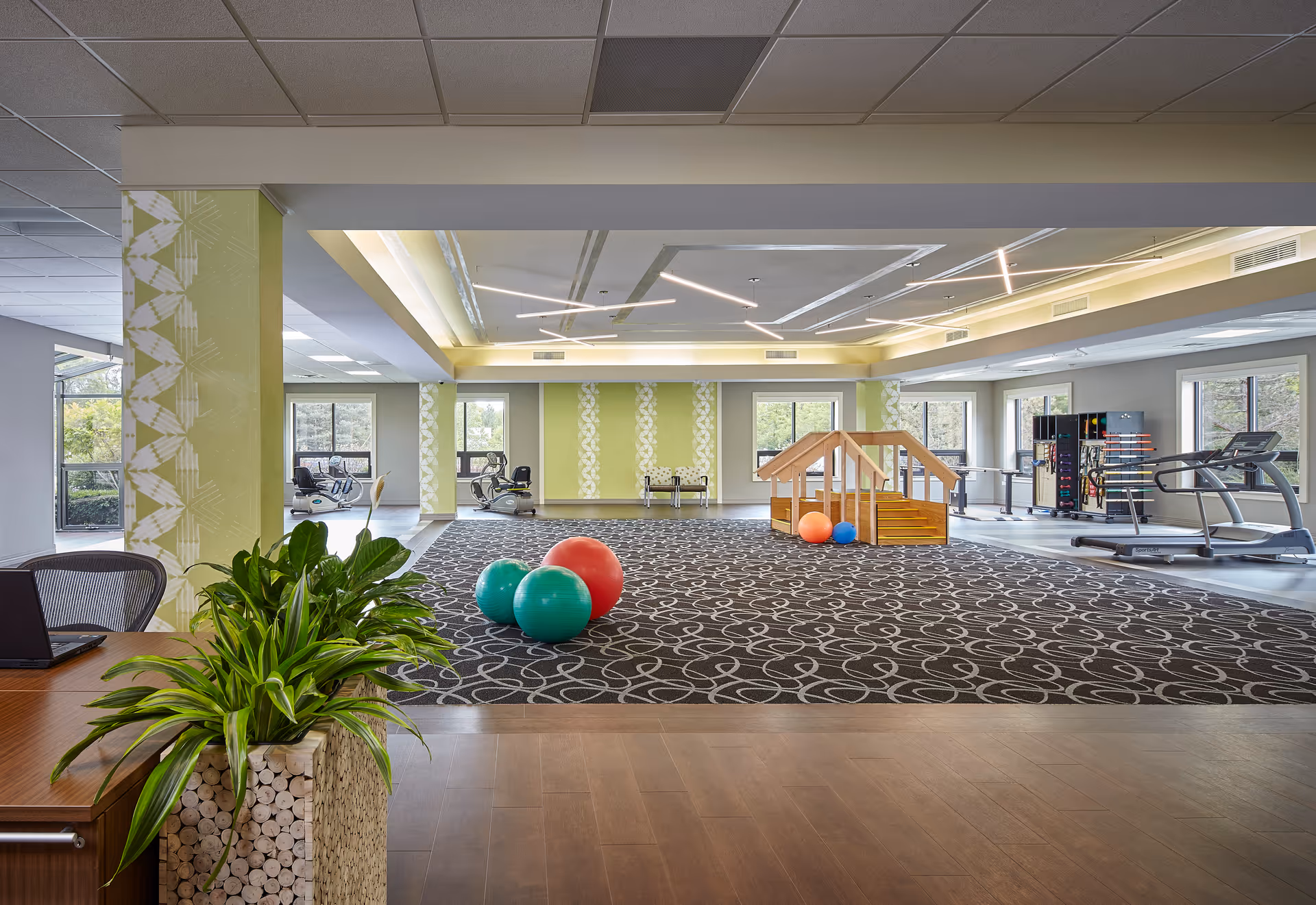 Open rehab gym with cardio equipment, balls, and a wooden play structure.