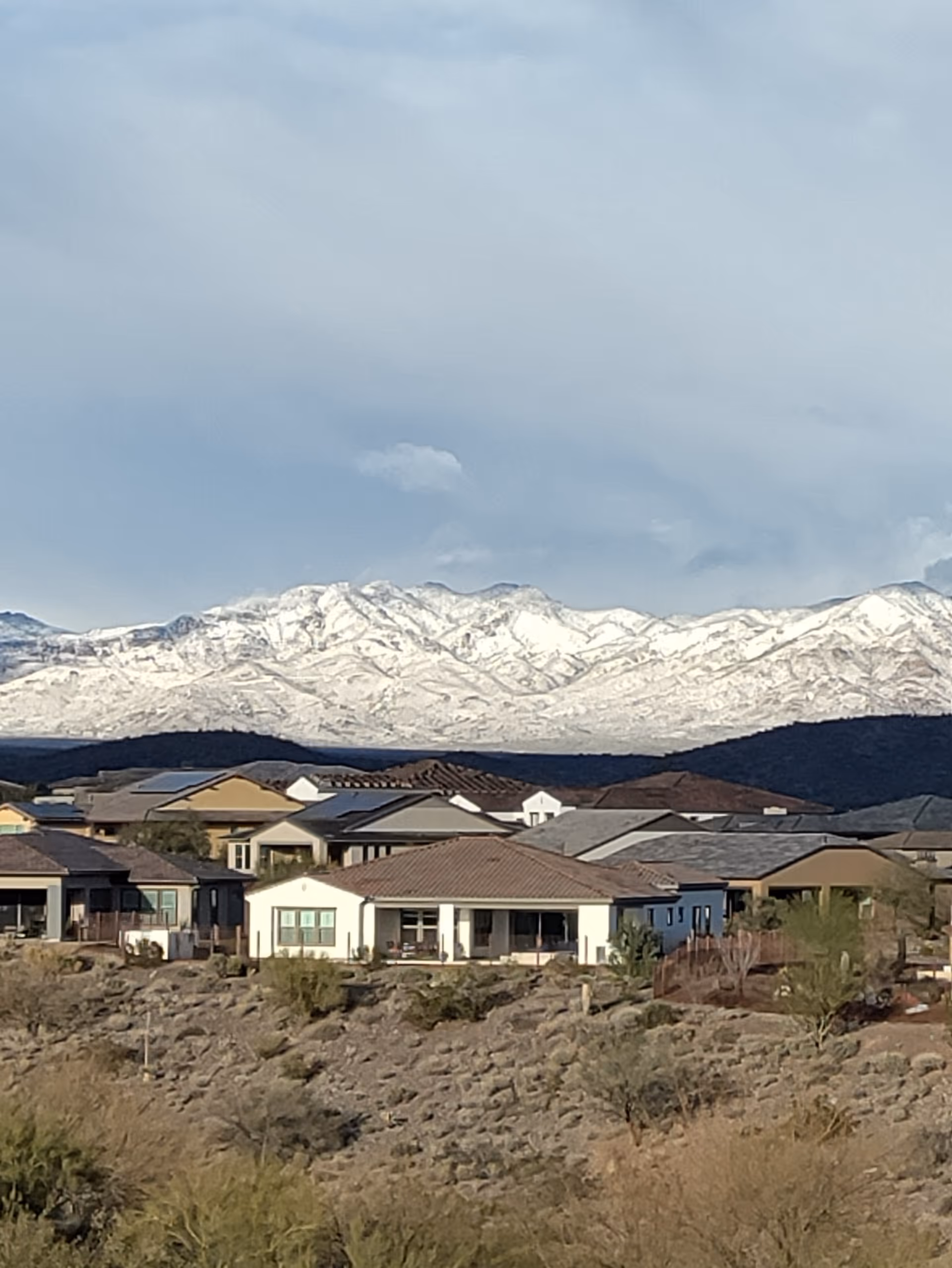 Exterior view of a desert retirement community with single-story homes and snowy mountains.