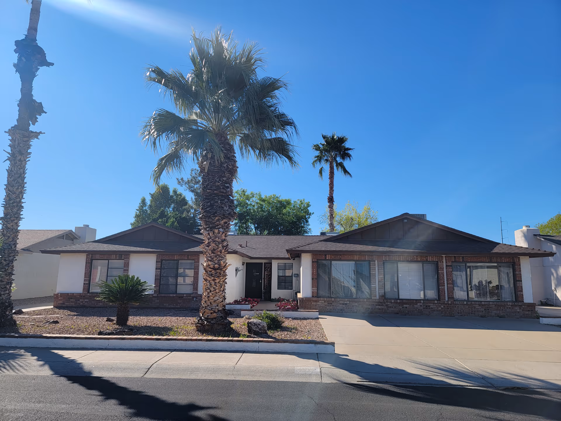 Single-story assisted living home with brick accents, large windows, and palm trees in front yard.
