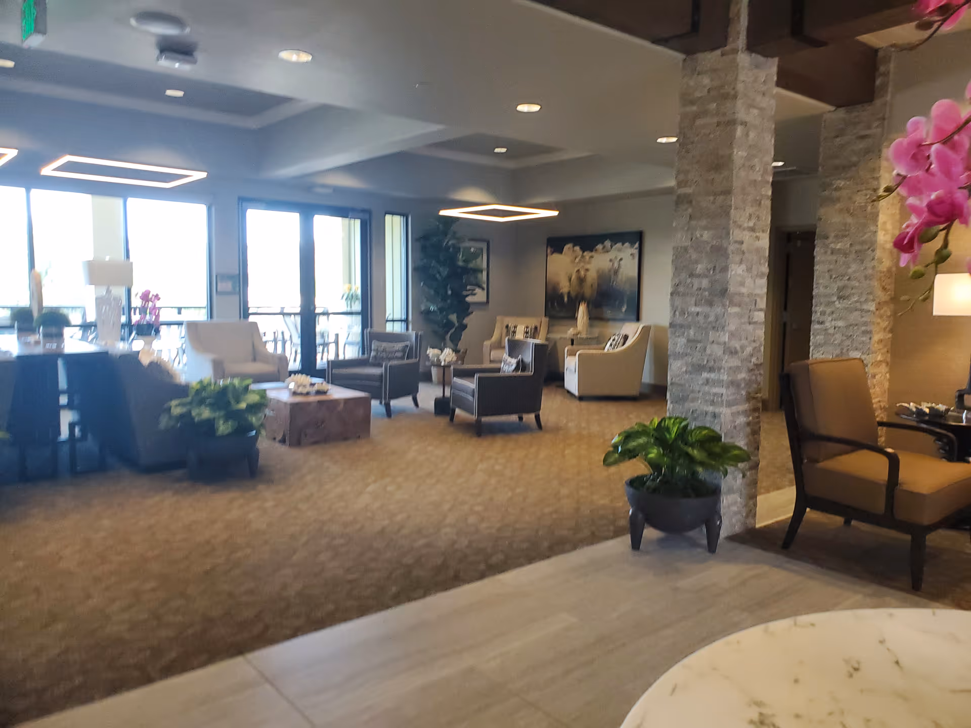 Spacious senior living lounge with sofas, chairs, plants, and large windows.