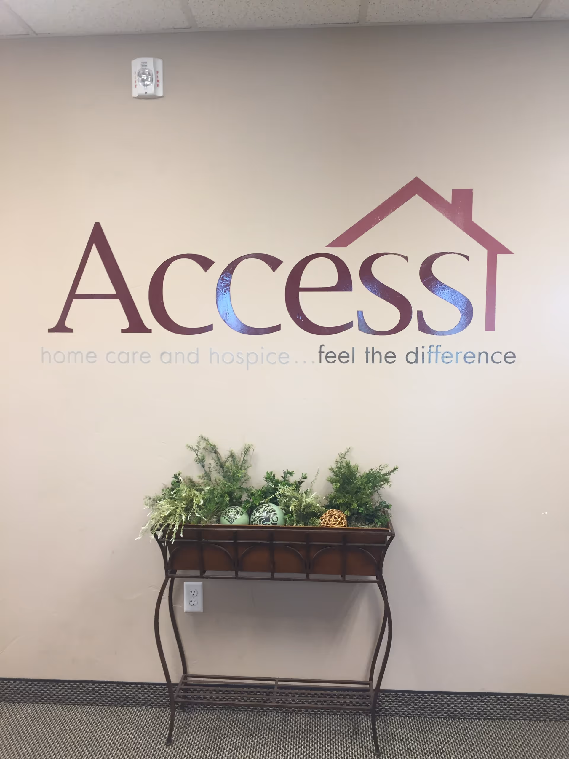 Interior wall displays Access logo with a decorative plant-filled console table beneath.