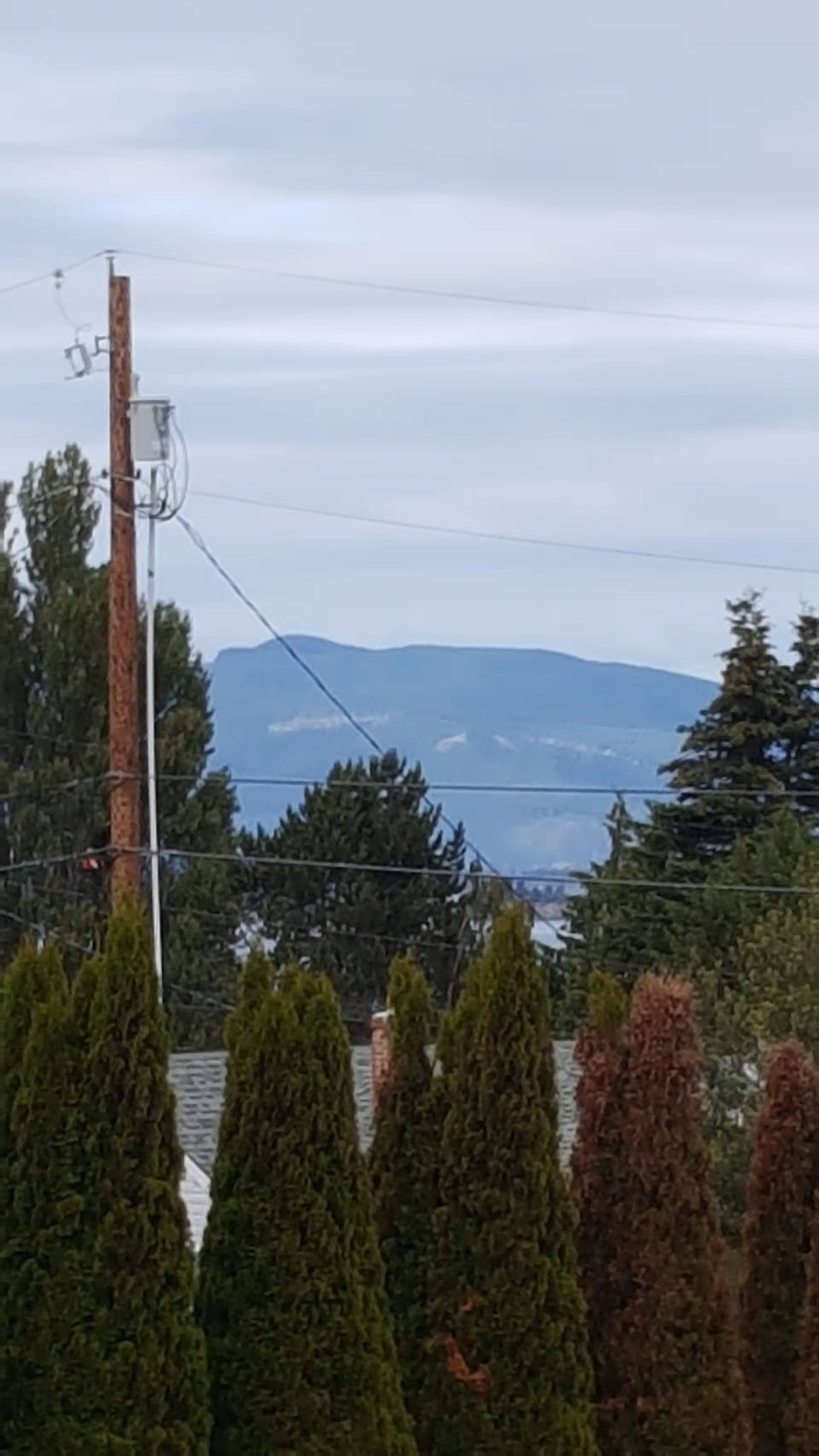 Tall evergreen trees line a fence with power lines and distant mountains in view.