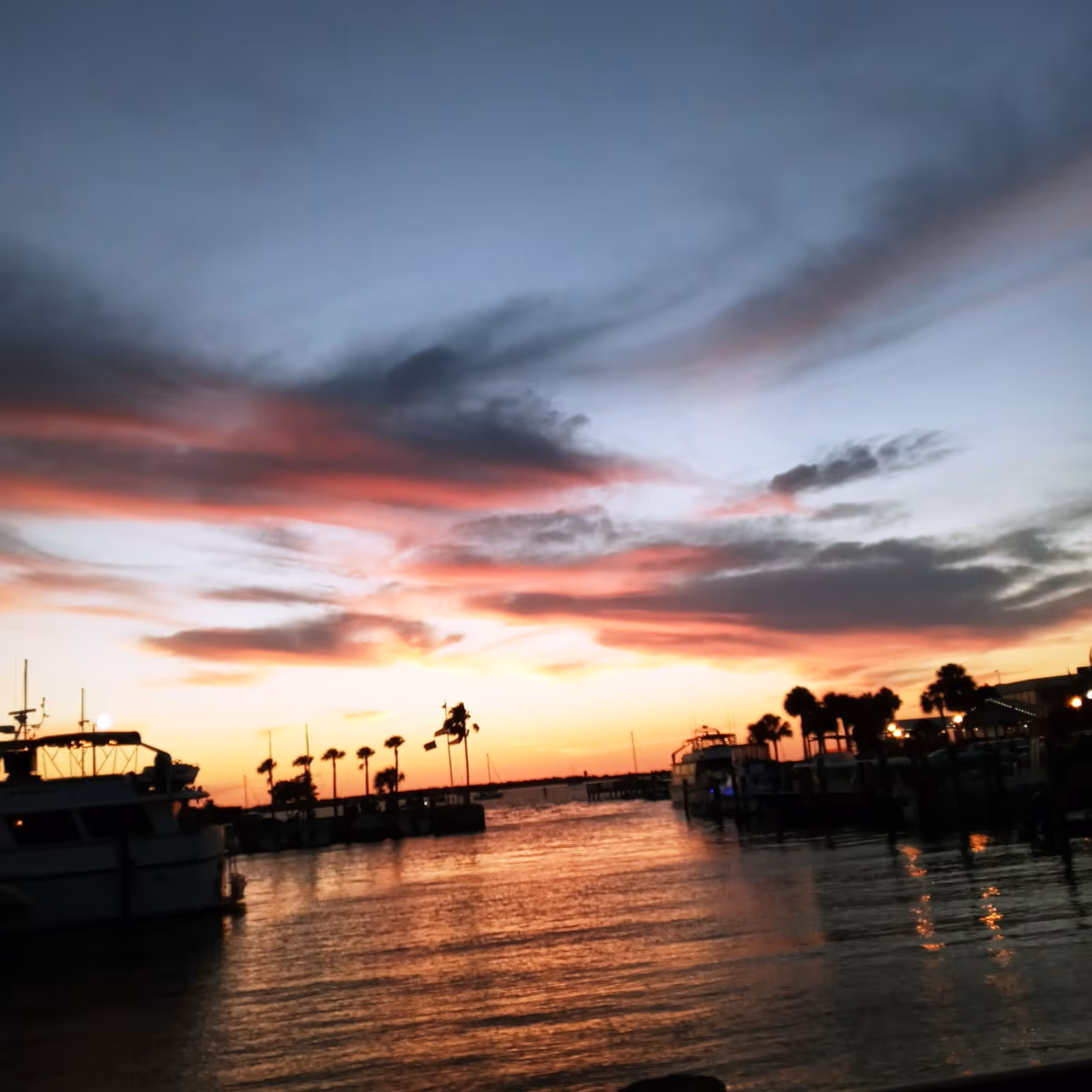 Sunset over a marina with silhouetted palm trees and boats on calm water.