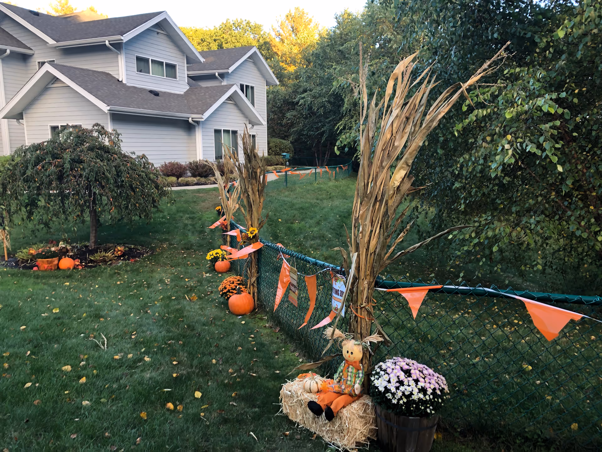 A senior living building's front yard decorated for fall with pumpkins, corn stalks, orange bunting, and a small scarecrow by a fence.