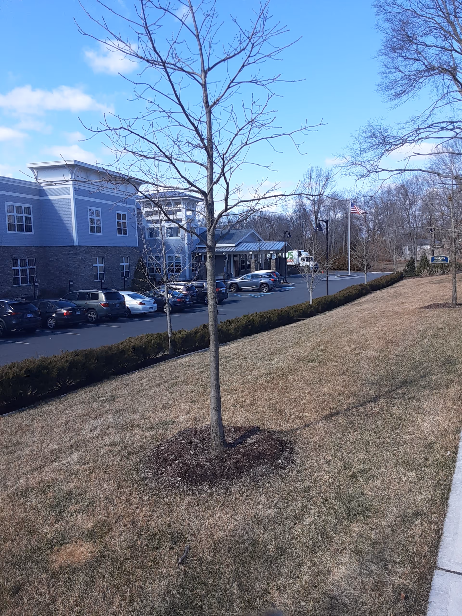 Exterior view of Bridges by EPOCH at Norwalk with parked cars and trees.
