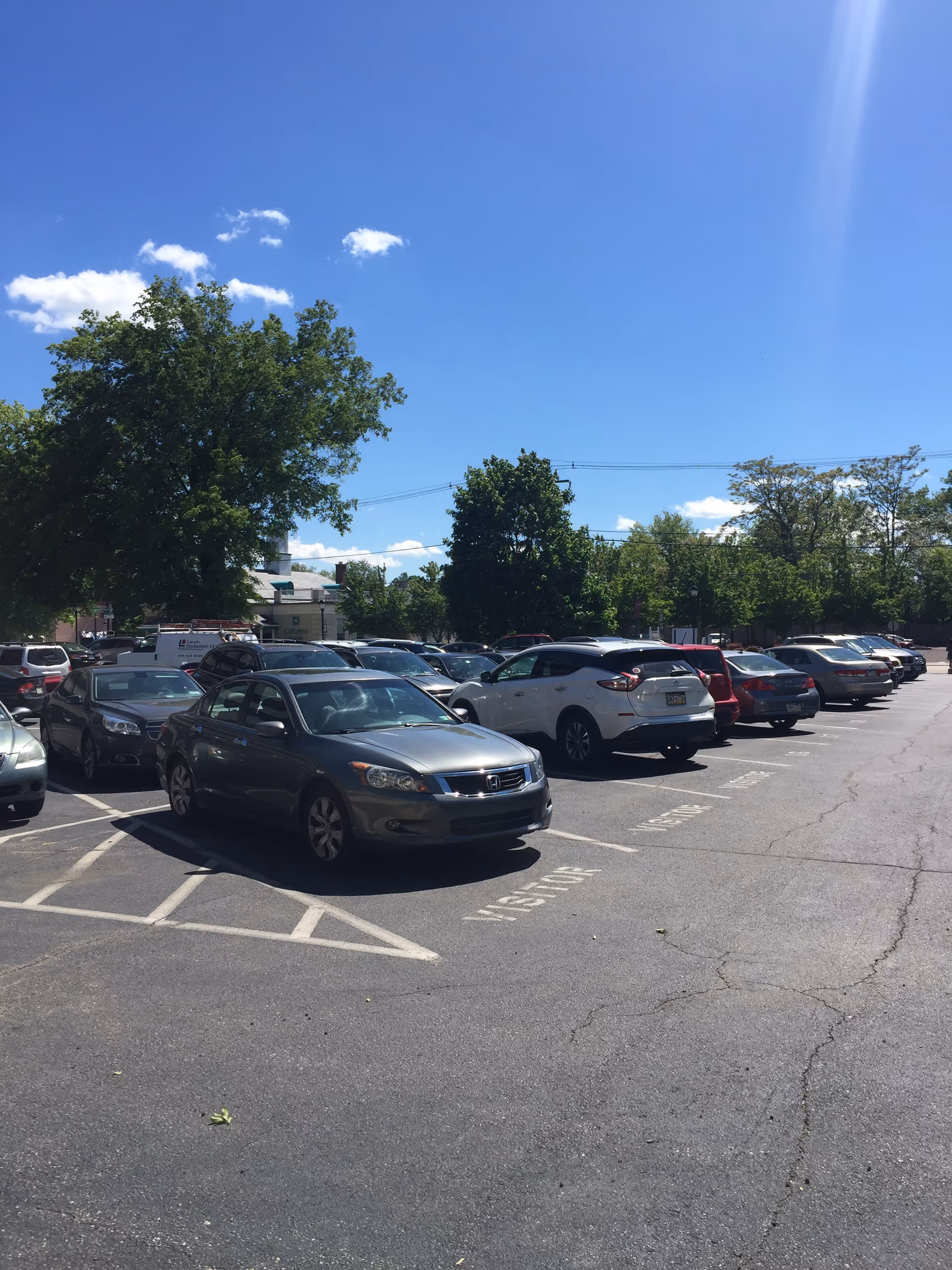 Sunny parking lot filled with cars, green trees, and a clear blue sky.