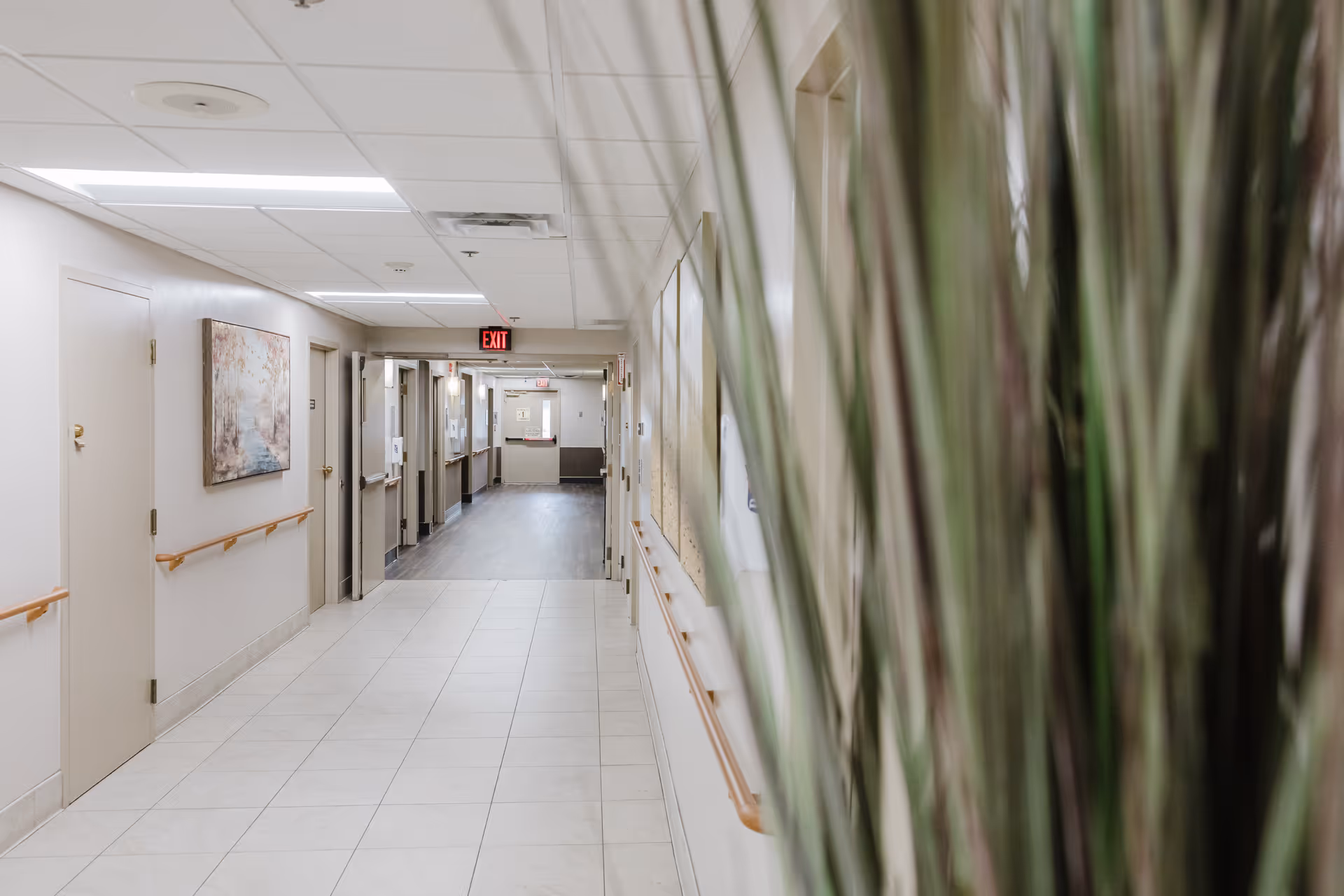 Interior hallway in a senior living facility with tall plants along the right.