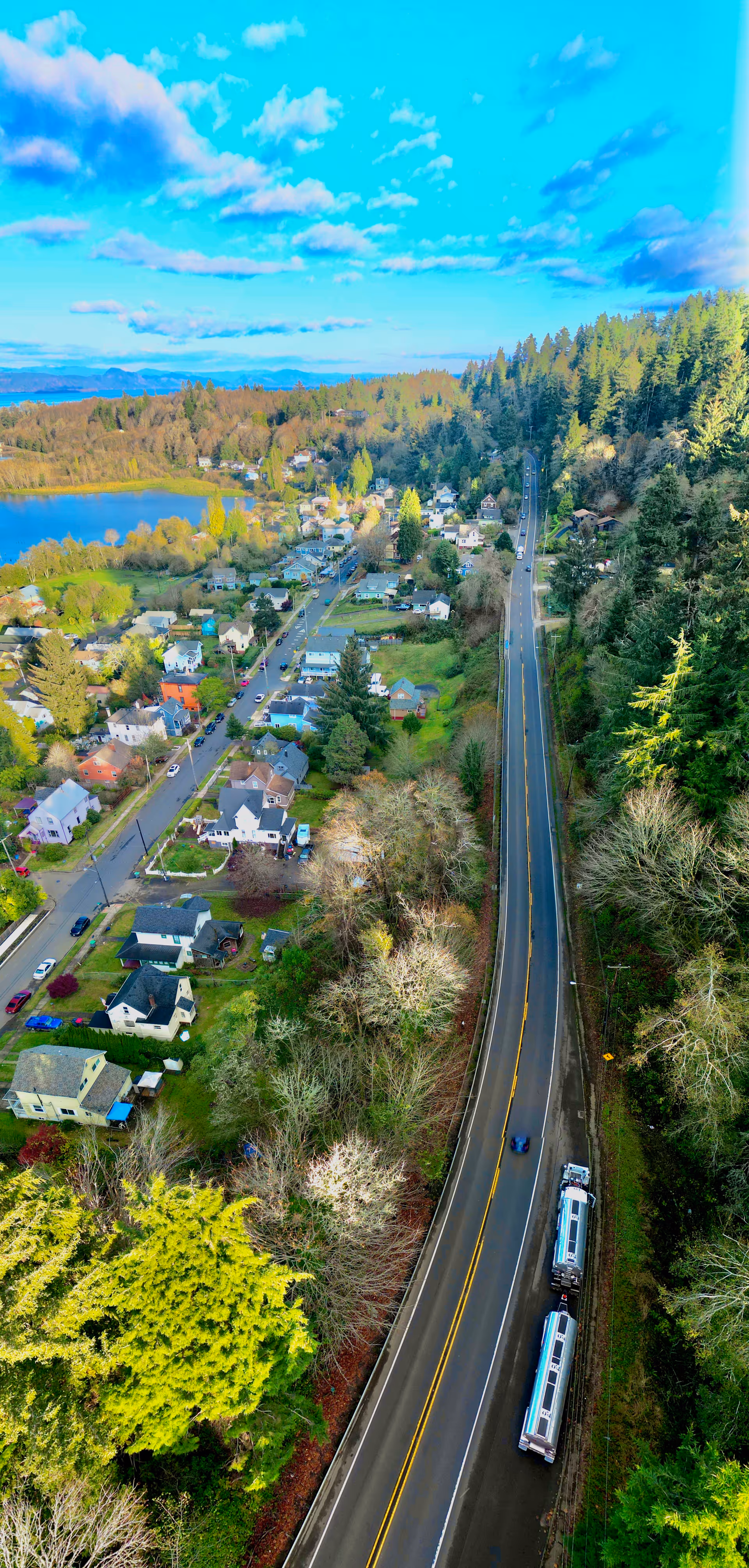 Aerial view of a winding road through a residential neighborhood with trees and a lake.
