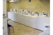 Row of washing machines along a pale yellow-green wall in a laundry room.