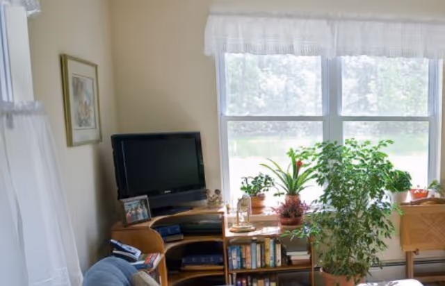 A cozy living room corner with a TV on a wooden stand, bookshelves and potted plants in front of a large window.